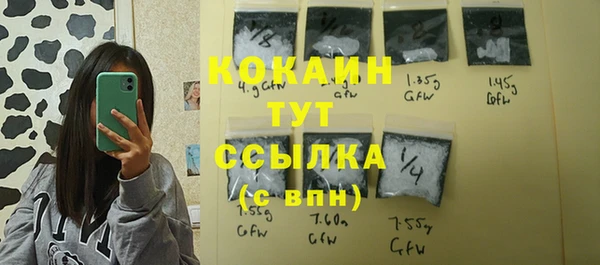 сатива Абаза