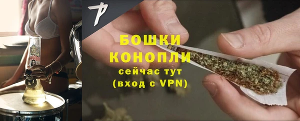 сатива Абаза