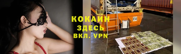 сатива Абаза