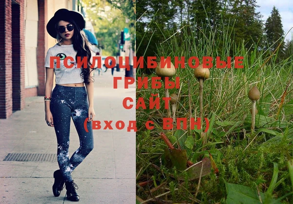 винт Абинск