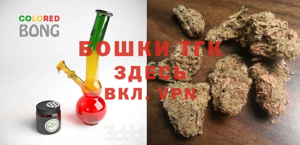 молекула духа Новодвинск