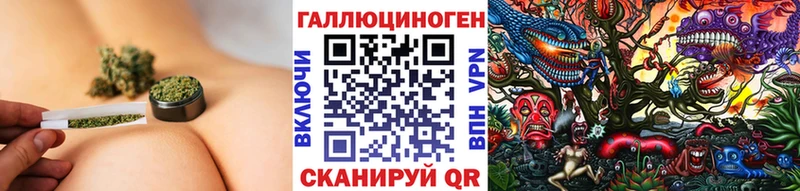 OMG tor  Кяхта  Псилоцибиновые грибы мицелий 