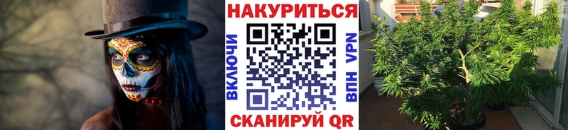 купить наркотики цена  Кяхта  Бошки Шишки сатива 